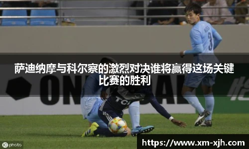 美嘉体育平台